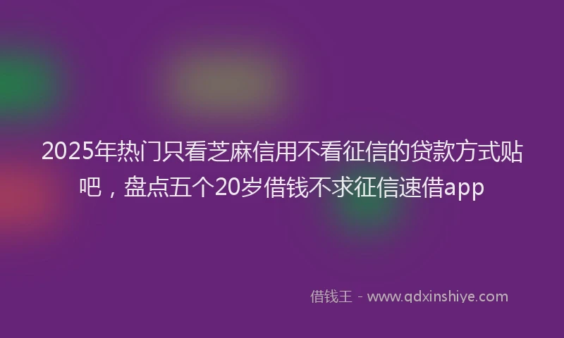 2025年热门只看芝麻信用不看征信的贷款方式贴吧，盘点五个20岁借钱不求征信速借app