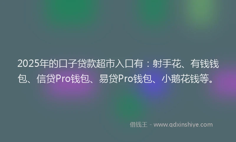 2025年的口子贷款超市入口有：射手花、有钱钱包、信贷Pro钱包、易贷Pro钱包、小鹅花钱等。