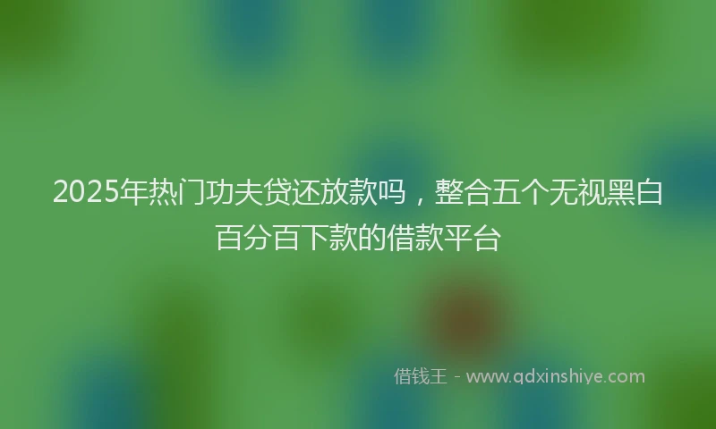 2025年热门功夫贷还放款吗，整合五个无视黑白百分百下款的借款平台