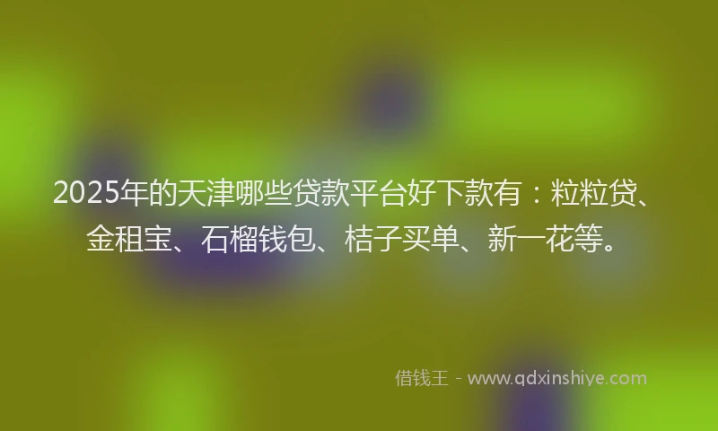 2025年的天津哪些贷款平台好下款有：粒粒贷、金租宝、石榴钱包、桔子买单、新一花等。