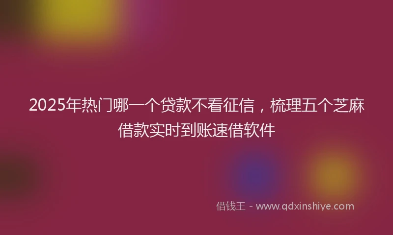 2025年热门哪一个贷款不看征信，梳理五个芝麻借款实时到账速借软件