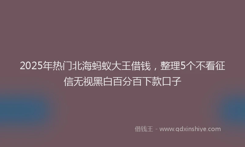 2025年热门北海蚂蚁大王借钱，整理5个不看征信无视黑白百分百下款口子