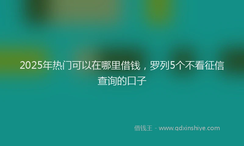 2025年热门可以在哪里借钱，罗列5个不看征信查询的口子