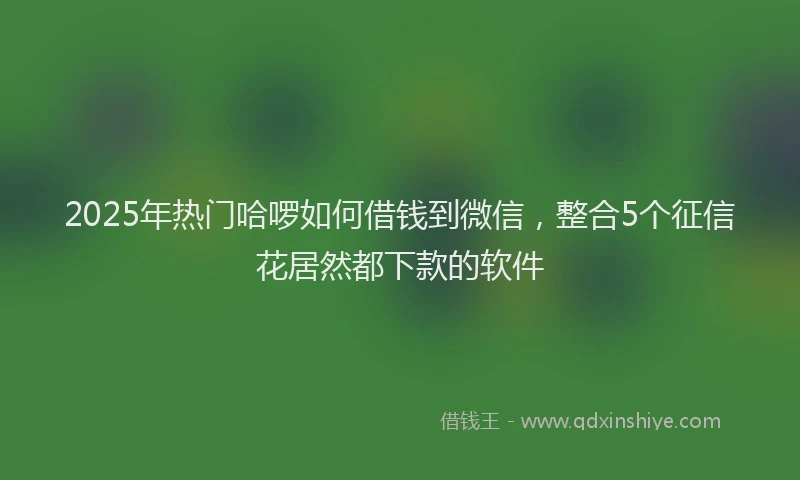 2025年热门哈啰如何借钱到微信，整合5个征信花居然都下款的软件