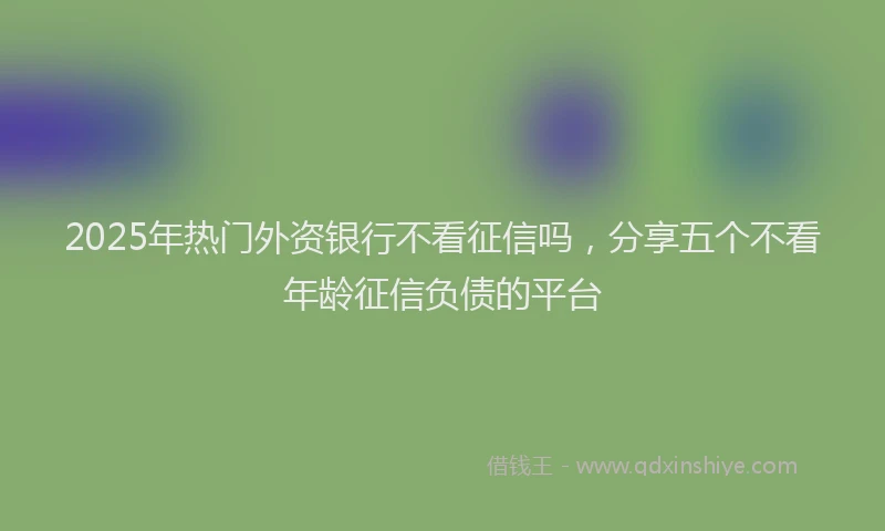 2025年热门外资银行不看征信吗，分享五个不看年龄征信负债的平台