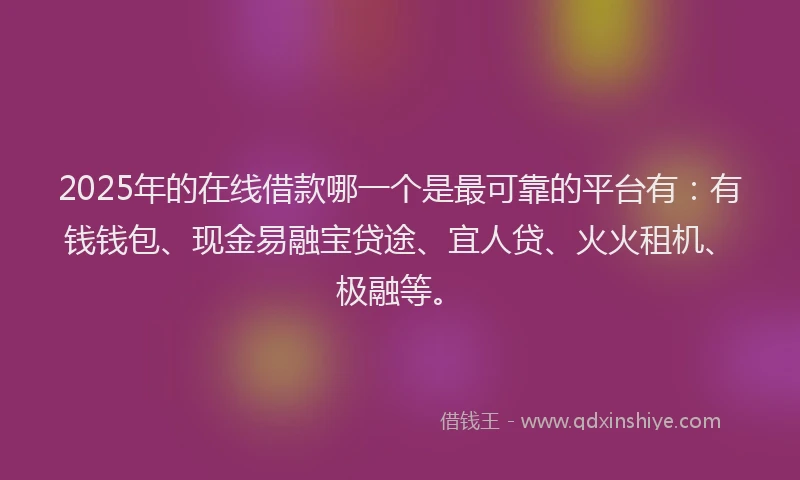 2025年的在线借款哪一个是最可靠的平台有：有钱钱包、现金易融宝贷途、宜人贷、火火租机、极融等。
