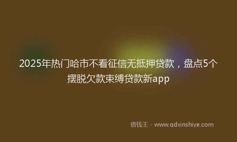 2025年热门哈市不看征信无抵押贷款，盘点5个摆脱欠款束缚贷款新app