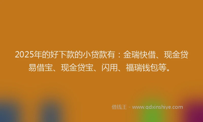 2025年的好下款的小贷款有：金瑞快借、现金贷易借宝、现金贷宝、闪用、福瑞钱包等。