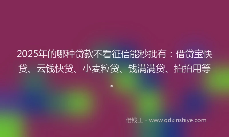 2025年的哪种贷款不看征信能秒批有：借贷宝快贷、云钱快贷、小麦粒贷、钱满满贷、拍拍用等。
