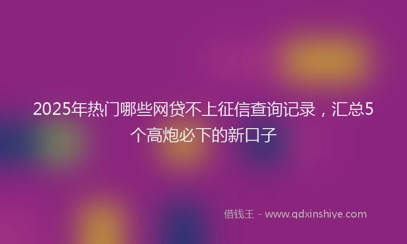 2025年热门哪些网贷不上征信查询记录，汇总5个高炮必下的新口子