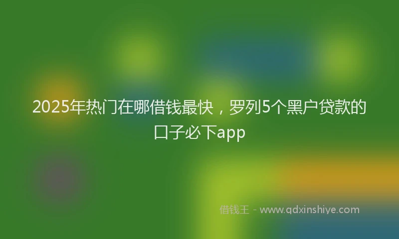 2025年热门在哪借钱最快，罗列5个黑户贷款的口子必下app