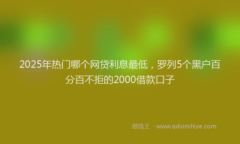 2025年热门哪个网贷利息最低，罗列5个黑户百分百不拒的2000借款口子