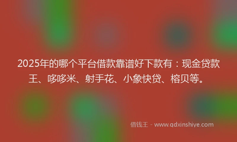 2025年的哪个平台借款靠谱好下款有：现金贷款王、哆哆米、射手花、小象快贷、榕贝等。