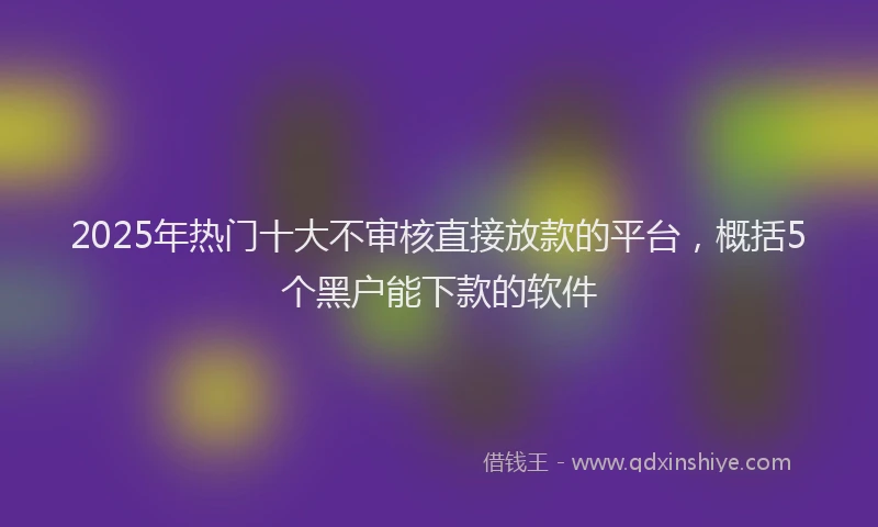 2025年热门十大不审核直接放款的平台，概括5个黑户能下款的软件