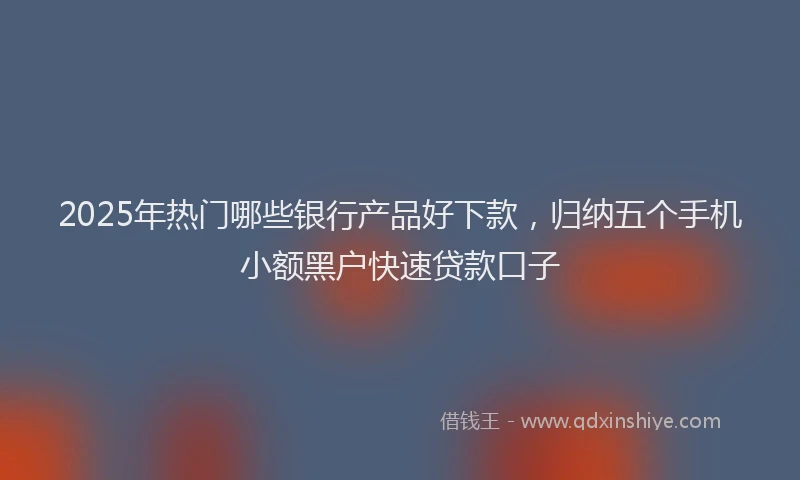 2025年热门哪些银行产品好下款，归纳五个手机小额黑户快速贷款口子