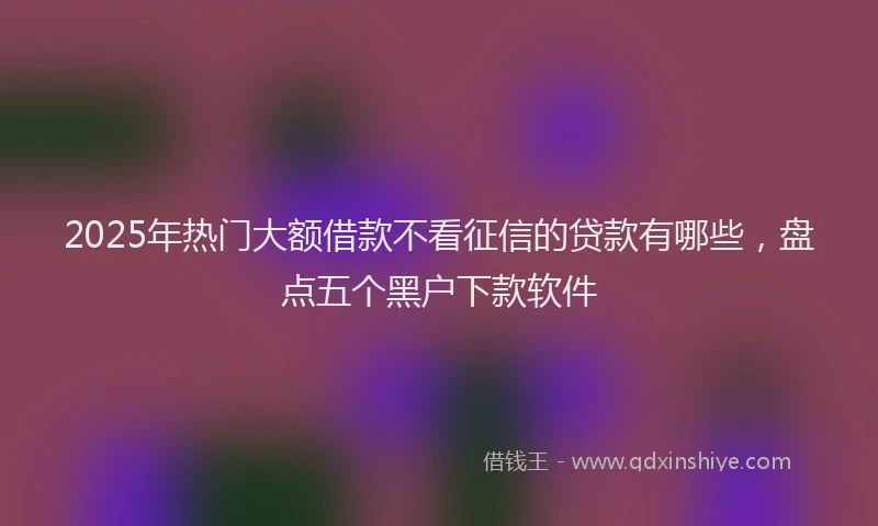 2025年热门大额借款不看征信的贷款有哪些，盘点五个黑户下款软件
