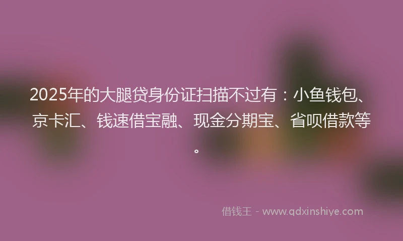 2025年的大腿贷身份证扫描不过有：小鱼钱包、京卡汇、钱速借宝融、现金分期宝、省呗借款等。