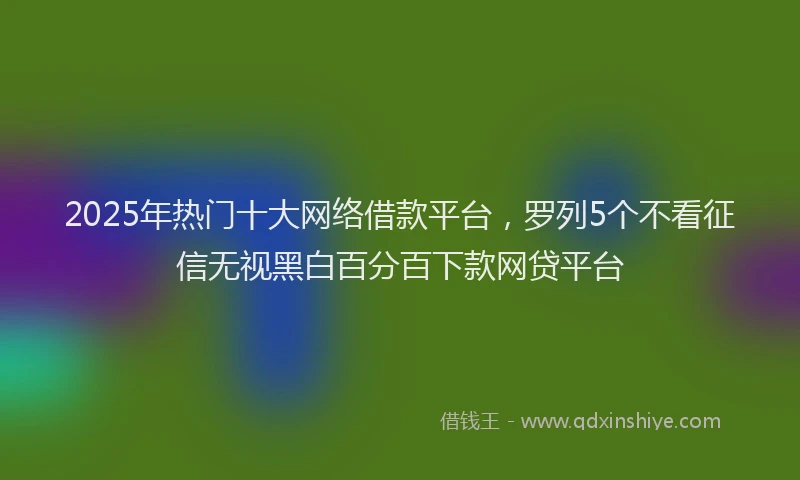2025年热门十大网络借款平台，罗列5个不看征信无视黑白百分百下款网贷平台