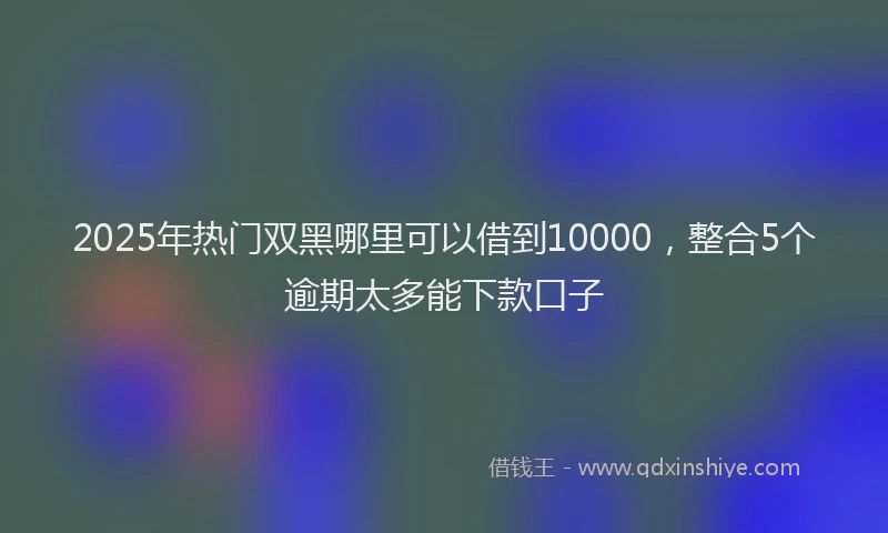 2025年热门双黑哪里可以借到10000，整合5个逾期太多能下款口子