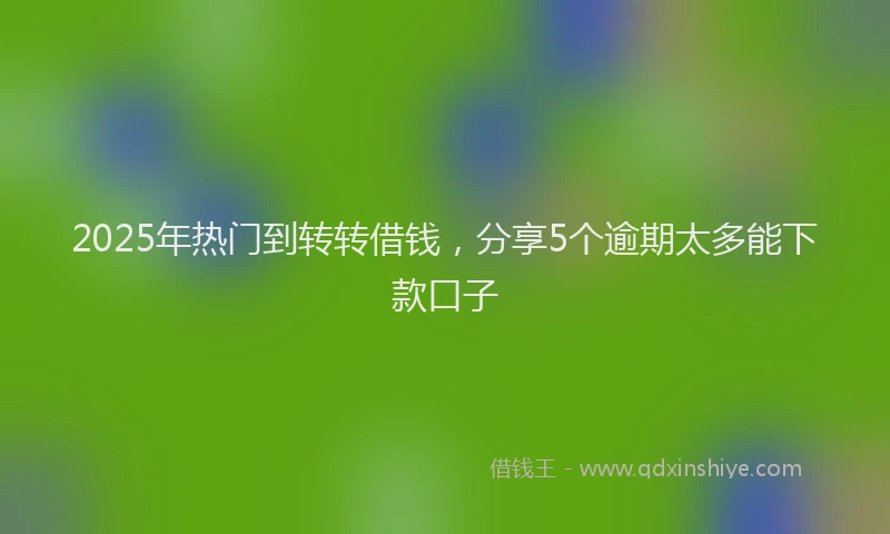 2025年热门到转转借钱，分享5个逾期太多能下款口子