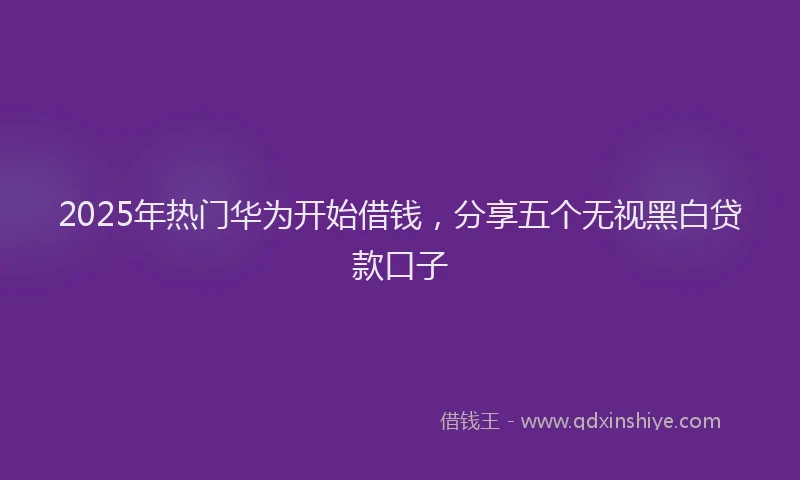 2025年热门华为开始借钱，分享五个无视黑白贷款口子