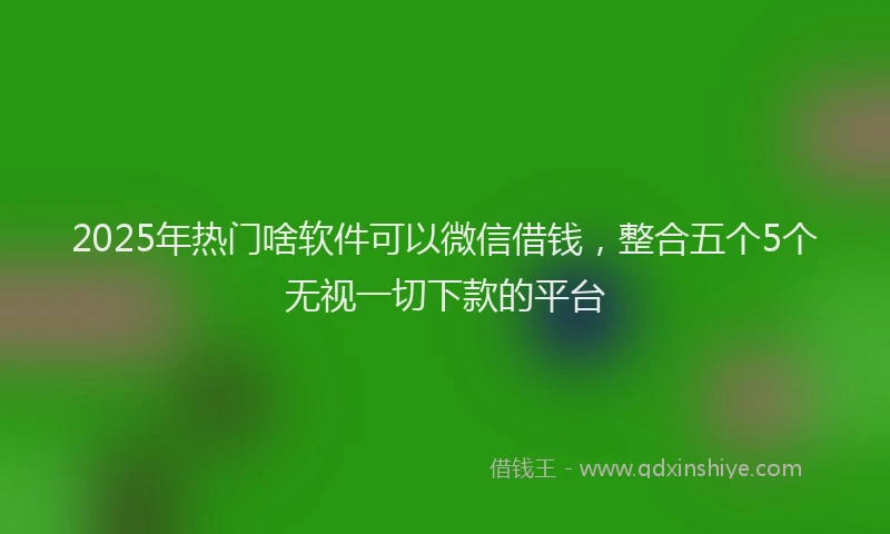 2025年热门啥软件可以微信借钱，整合五个5个无视一切下款的平台