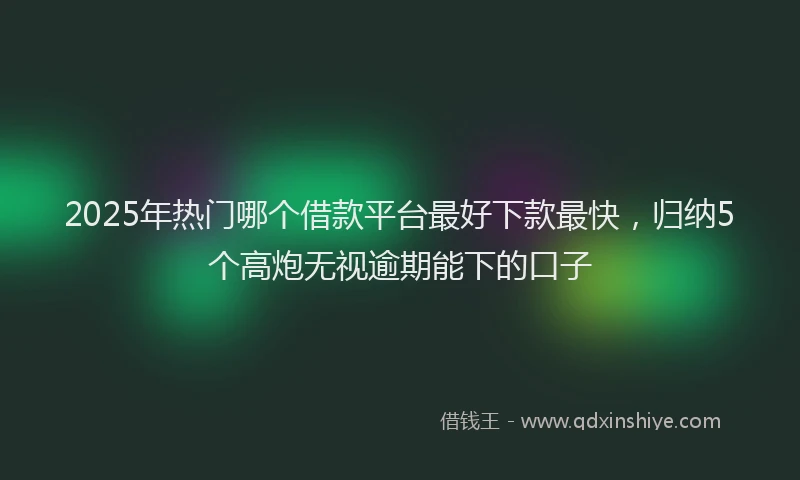 2025年热门哪个借款平台最好下款最快，归纳5个高炮无视逾期能下的口子