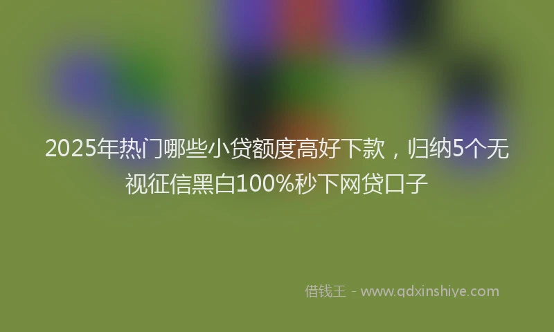 2025年热门哪些小贷额度高好下款，归纳5个无视征信黑白100%秒下网贷口子