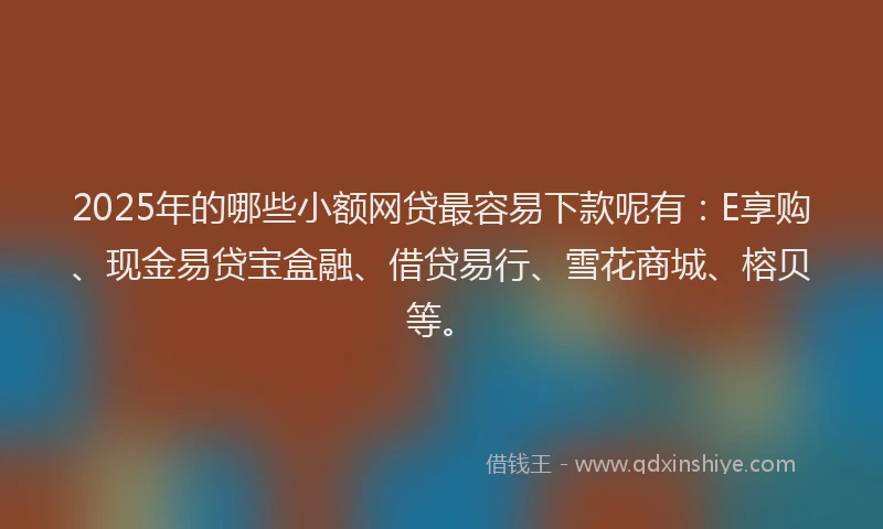 2025年的哪些小额网贷最容易下款呢有：E享购、现金易贷宝盒融、借贷易行、雪花商城、榕贝等。
