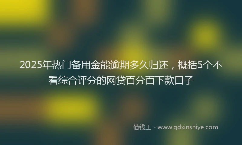2025年热门备用金能逾期多久归还，概括5个不看综合评分的网贷百分百下款口子