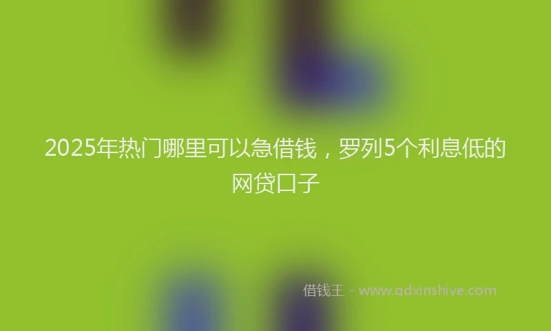 2025年热门哪里可以急借钱，罗列5个利息低的网贷口子