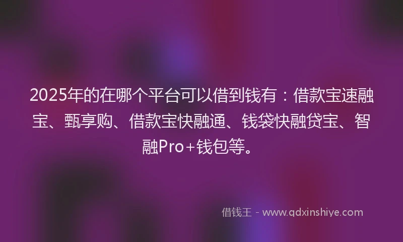 2025年的在哪个平台可以借到钱有：借款宝速融宝、甄享购、借款宝快融通、钱袋快融贷宝、智融Pro+钱包等。