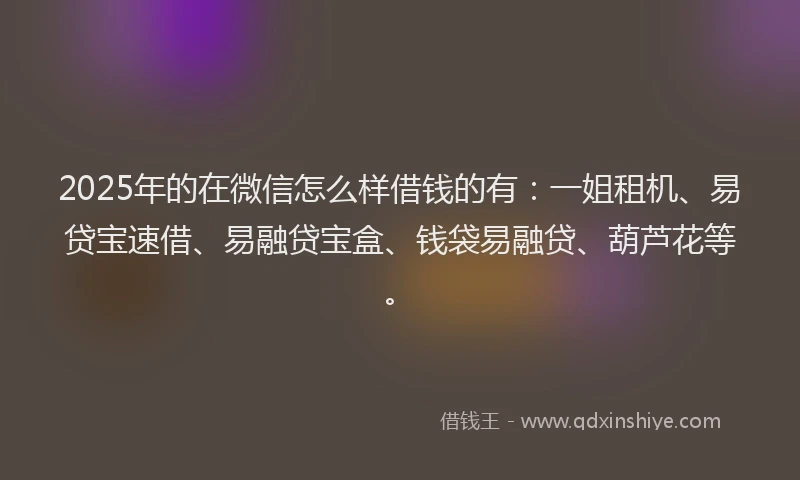 2025年的在微信怎么样借钱的有：一姐租机、易贷宝速借、易融贷宝盒、钱袋易融贷、葫芦花等。