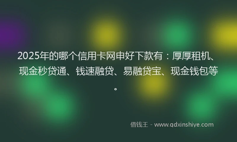 2025年的哪个信用卡网申好下款有：厚厚租机、现金秒贷通、钱速融贷、易融贷宝、现金钱包等。