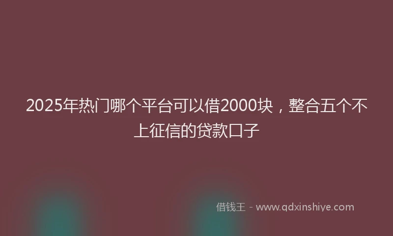 2025年热门哪个平台可以借2000块，整合五个不上征信的贷款口子