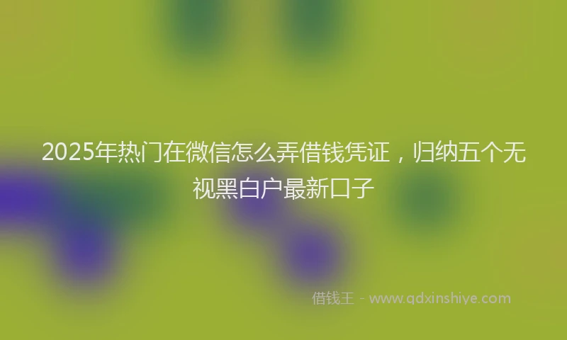 2025年热门在微信怎么弄借钱凭证，归纳五个无视黑白户最新口子