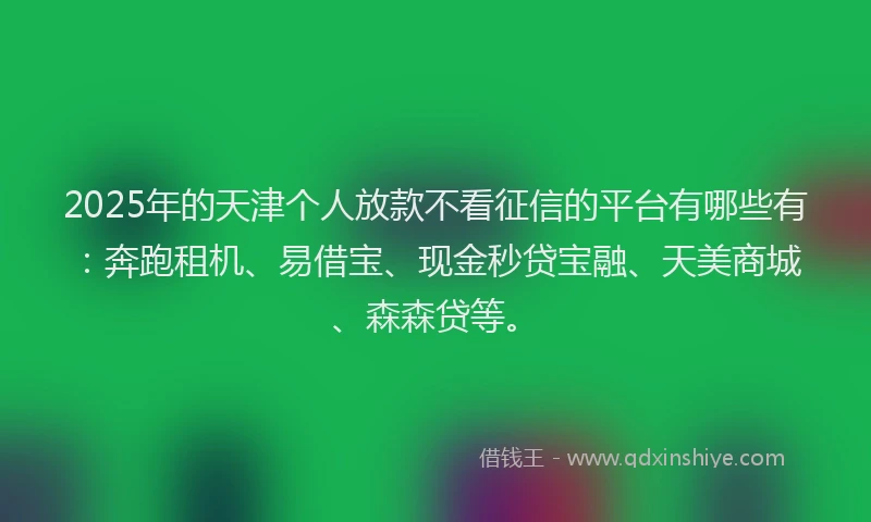 2025年的天津个人放款不看征信的平台有哪些有：奔跑租机、易借宝、现金秒贷宝融、天美商城、森森贷等。
