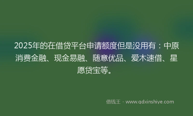 2025年的在借贷平台申请额度但是没用有：中原消费金融、现金易融、随意优品、爱木速借、星愿贷宝等。