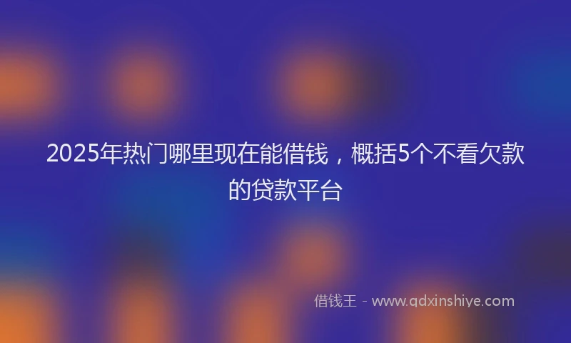 2025年热门哪里现在能借钱，概括5个不看欠款的贷款平台
