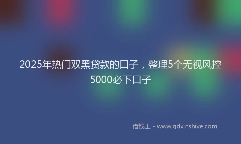 2025年热门双黑贷款的口子，整理5个无视风控5000必下口子