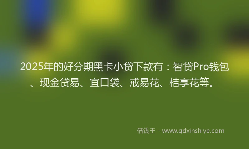 2025年的好分期黑卡小贷下款有：智贷Pro钱包、现金贷易、宜口袋、戒易花、桔享花等。