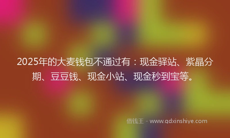 2025年的大麦钱包不通过有：现金驿站、紫晶分期、豆豆钱、现金小站、现金秒到宝等。