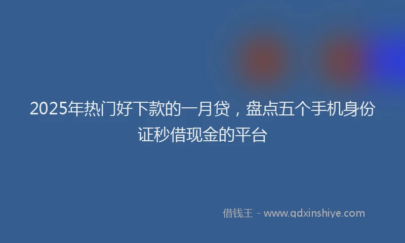 2025年热门好下款的一月贷，盘点五个手机身份证秒借现金的平台