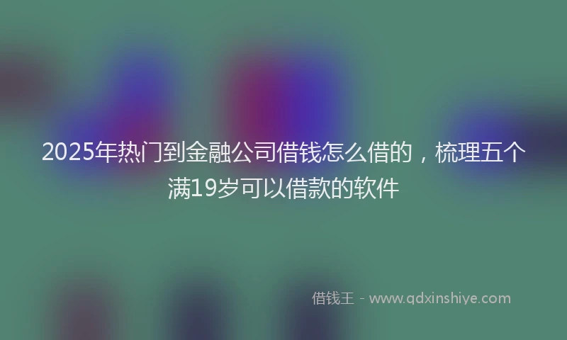 2025年热门到金融公司借钱怎么借的，梳理五个满19岁可以借款的软件
