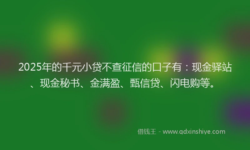 2025年的千元小贷不查征信的口子有：现金驿站、现金秘书、金满盈、甄信贷、闪电购等。