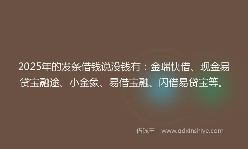2025年的发条借钱说没钱有：金瑞快借、现金易贷宝融途、小金象、易借宝融、闪借易贷宝等。