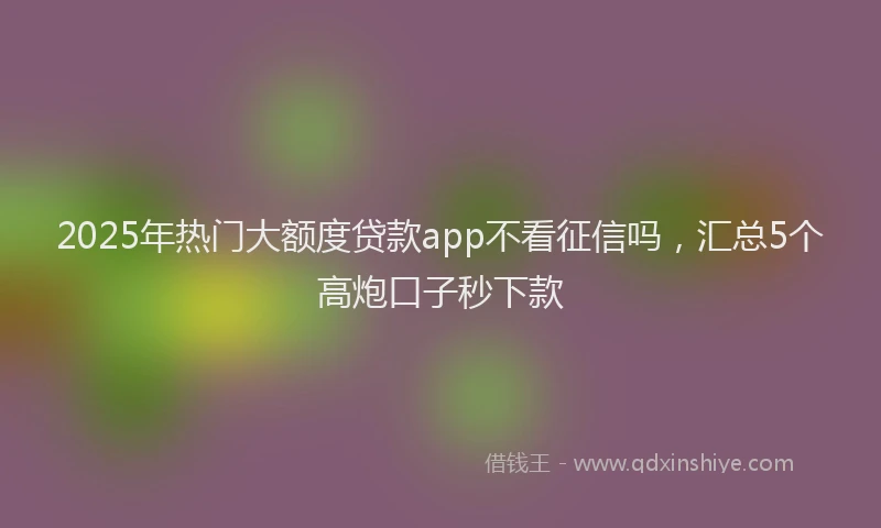 2025年热门大额度贷款app不看征信吗，汇总5个高炮口子秒下款