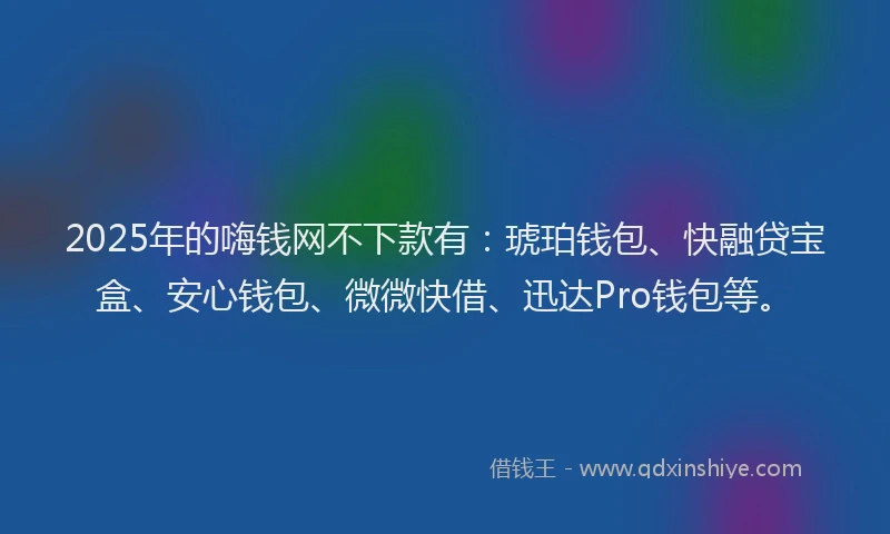 2025年的嗨钱网不下款有：琥珀钱包、快融贷宝盒、安心钱包、微微快借、迅达Pro钱包等。