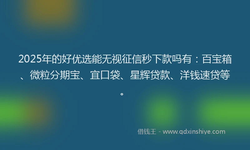 2025年的好优选能无视征信秒下款吗有：百宝箱、微粒分期宝、宜口袋、星辉贷款、洋钱速贷等。