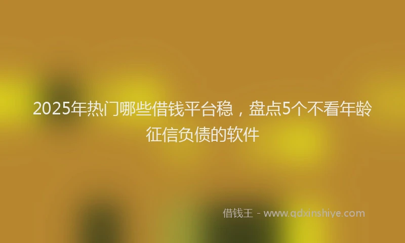 2025年热门哪些借钱平台稳，盘点5个不看年龄征信负债的软件